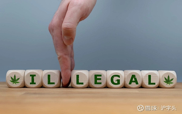 东莞队人气飙升，成为关注焦点