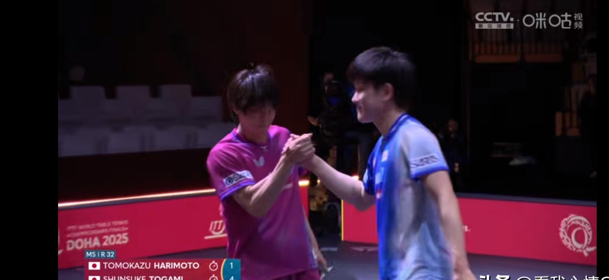 比利时乒乓球队绝杀波兰乒乓球队,张本智和制霸全场的简单介绍 比利时乒乓球队绝杀波兰乒乓球队,张本智和制霸全场的简单介绍